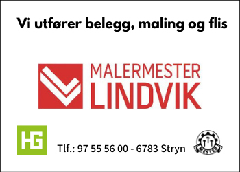 Malemester Lindvik AS