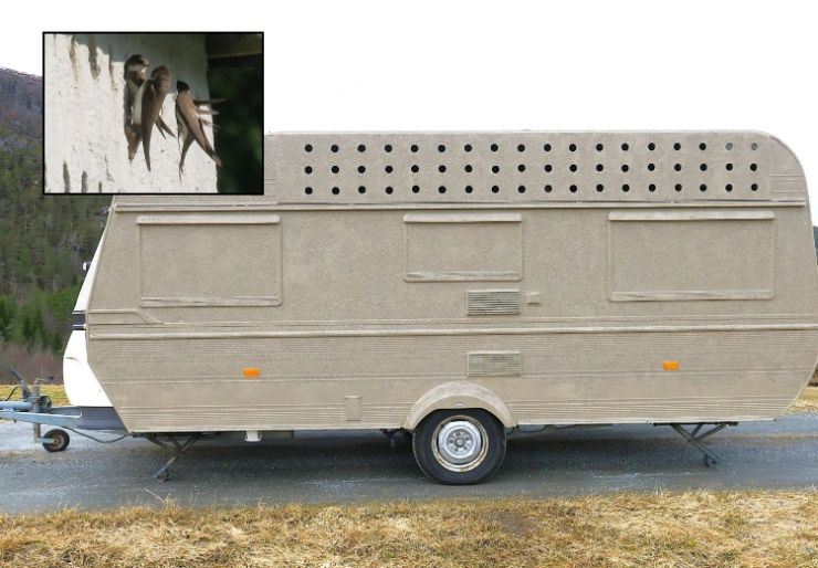 Sandsvaler som etablerer seg i en sandhaug på en byggeplass kan skape store problemer for framdriften i et prosjekt.  Nå lanserer Midtnorsk Naturundersøkelse det de beskriver som en mobil hekkeplass 