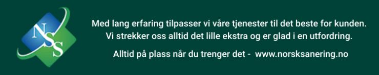 Norsk Saneringsservice AS - Madlamark Skole 